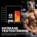 alphatest-thermo-xtr-muscletech-thermoge-2.jpg