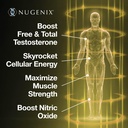 nugenix-total-t2-testosterone-booster-an-4.jpg