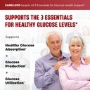 blood-sugar-support-complex-supplement-s-3.jpg