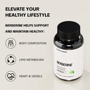 berberine-hcl-supplement-with-ceylon-cin-3.jpg