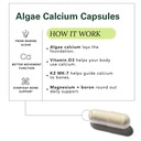 zab-algae-calcium-supplement-with-vitami-4.jpg