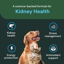 vetriscience-veterinary-strength-kidney--4.jpg