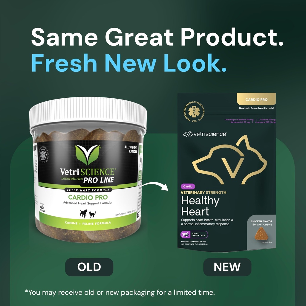 vetriscience-veterinary-strength-healthy-2.jpg