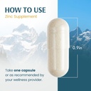 vykee-nutrition-zinc-picolinate-capsules-5.jpg