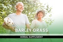 pure-original-ingredients-barley-grass-7-5.jpg