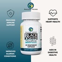 amazing-herbs-black-seed-fenuzume-bronc--4.jpg