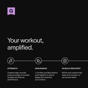 gainful-pre-workout-powder-with-creatine-2.jpg