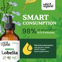 wild-organic-lobelia-tincture-lung-detox-4.jpg