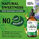 wild-organic-lobelia-tincture-lung-detox-6.jpg