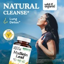 wild-organic-mullein-capsules-4-1-mullei-2.jpg