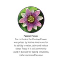 botanic-choice-passion-flower-liquid-ext-5.jpg