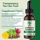 lymphatic-drainage-drops-2-fl-oz-organic-4.jpg