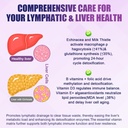 liposomal-lymphatic-drainage-drops-26-in-5.jpg