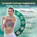 lymphatic-drainage-supplements-240-softg-2.jpg