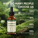 lymphatic-drainage-drops-lymphatic-syste-6.jpg