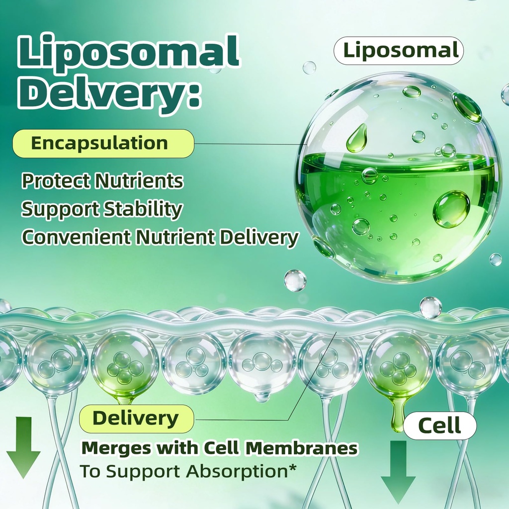 liposomal-lymphatic-drainage-drops-4-fl--6.jpg