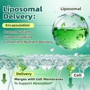 liposomal-lymphatic-drainage-drops-4-fl--6.jpg