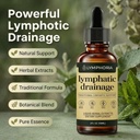 lymphoria-lymphatic-drainage-drops-lymph-2.jpg