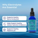 eidon-liquid-electrolytes-liquid-electro-5.jpg