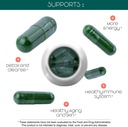 teaveli-citicoline-with-spirulina-chlore-4.jpg