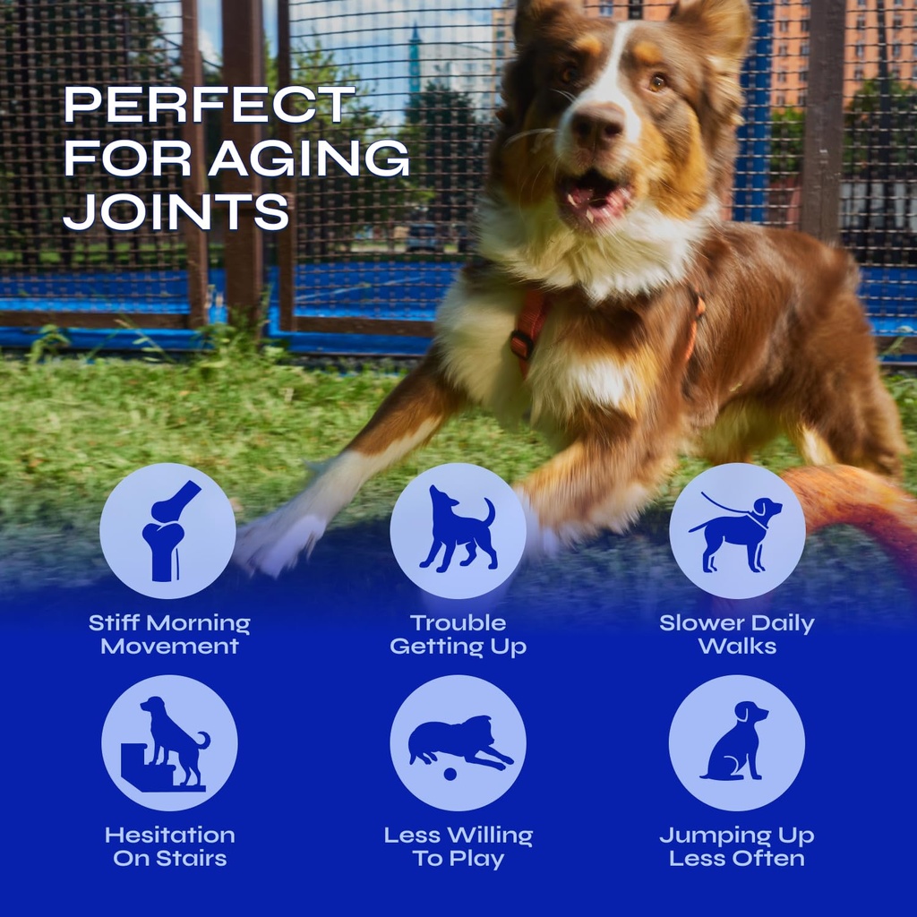 glucosamine-for-dogs-32-500-mg-per-pack--3.jpg