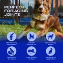 glucosamine-for-dogs-32-500-mg-per-pack--3.jpg