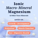 trace-minerals-for-kids-trace-mineral-dr-2.jpg