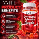 vaite-gymnema-sylvestre-supplements-600m-2.jpg