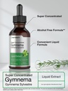 horb-ach-gymnema-sylvestre-liquid-extrac-3.jpg