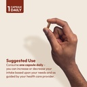 andrew-lessman-cinnamon-400mg-30-capsule-6.jpg