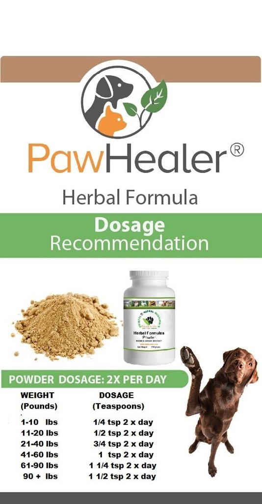 dog-urinary-incontinence-paw-mind-over-b-2.jpg
