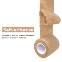 risen-cohesive-bandage-2-x-5-yards-6-rol-2.jpg