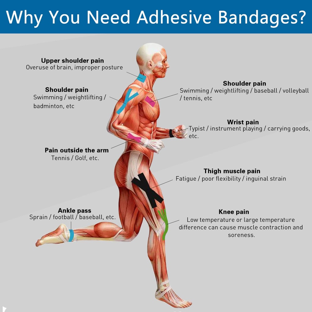 self-adhesive-wrap-cohesive-wrap-bandage-6.jpg