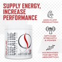 purus-labs-foundation-series-creatine-po-4.jpg
