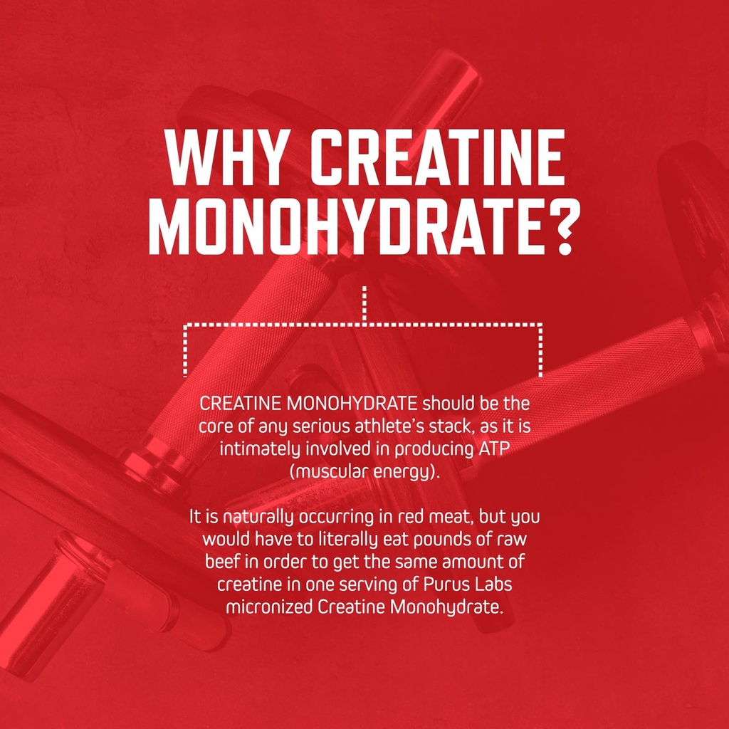 purus-labs-foundation-series-creatine-po-5.jpg
