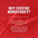 purus-labs-foundation-series-creatine-po-5.jpg