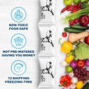 dry-ice-packs-for-shipping-long-lasting--6.jpg