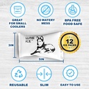 dry-ice-packs-for-shipping-long-lasting--5.jpg