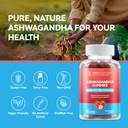 inner-brightness-ashwagandha-gummies-for-6.jpg