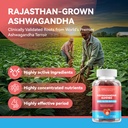 inner-brightness-ashwagandha-gummies-for-2.jpg