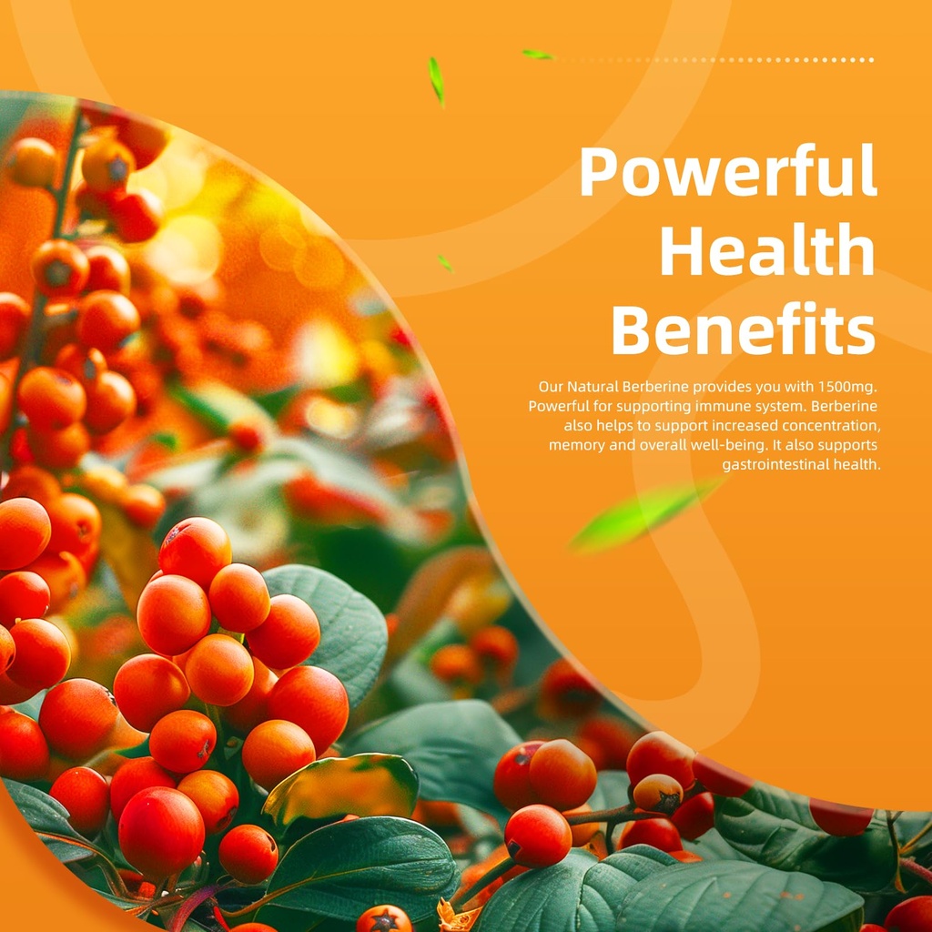 elevatelife-berberine-supplement-berberi-5.jpg