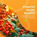 elevatelife-berberine-supplement-berberi-5.jpg