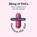 szio-10-bundle-utiva-cranberry-pacs-30-v-3.jpg