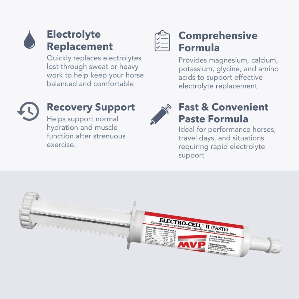 mvp-electro-cell-ii-electrolyte-paste-2--2.jpg