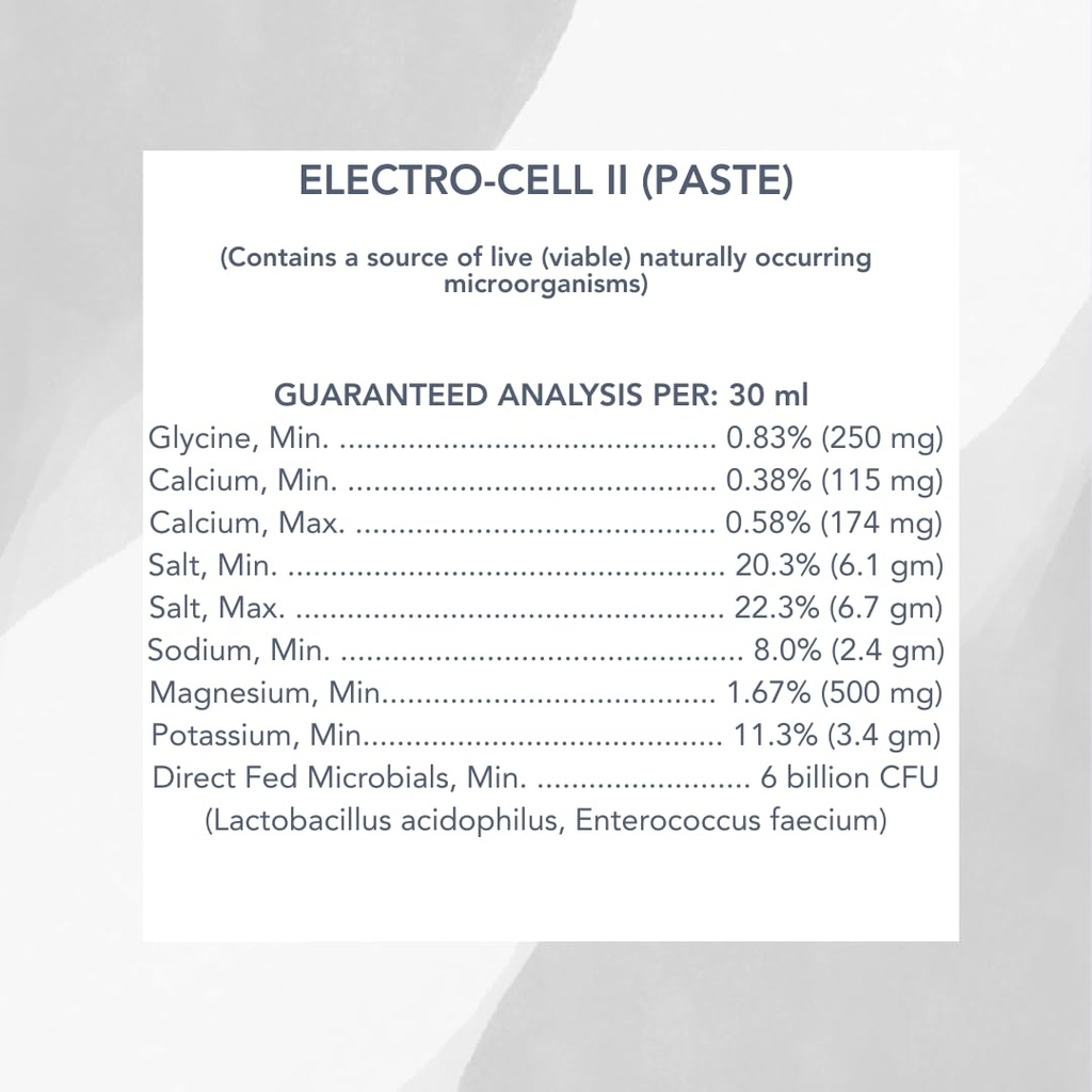 mvp-electro-cell-ii-electrolyte-paste-2--5.jpg