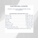 mvp-electro-cell-ii-electrolyte-paste-2--5.jpg