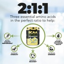 nutrology-bcaa-natural-plant-based-bcaa--4.jpg