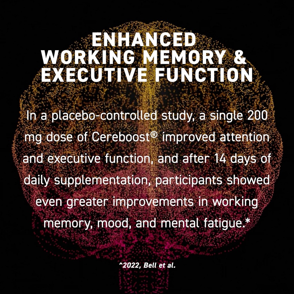 kaged-nootropic-formula-mindset-focus-an-4.jpg