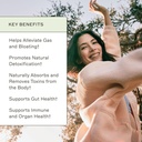 coconut-charcoal-capsules-from-the-myers-5.jpg