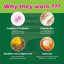 probiotic-kombucha-gummy-prebiotics-prob-4.jpg